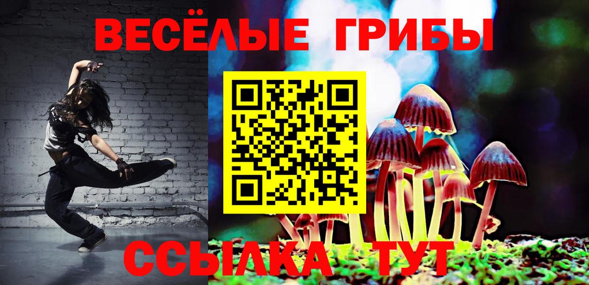 Псилоцибиновые грибы прущие грибы Бугуруслан