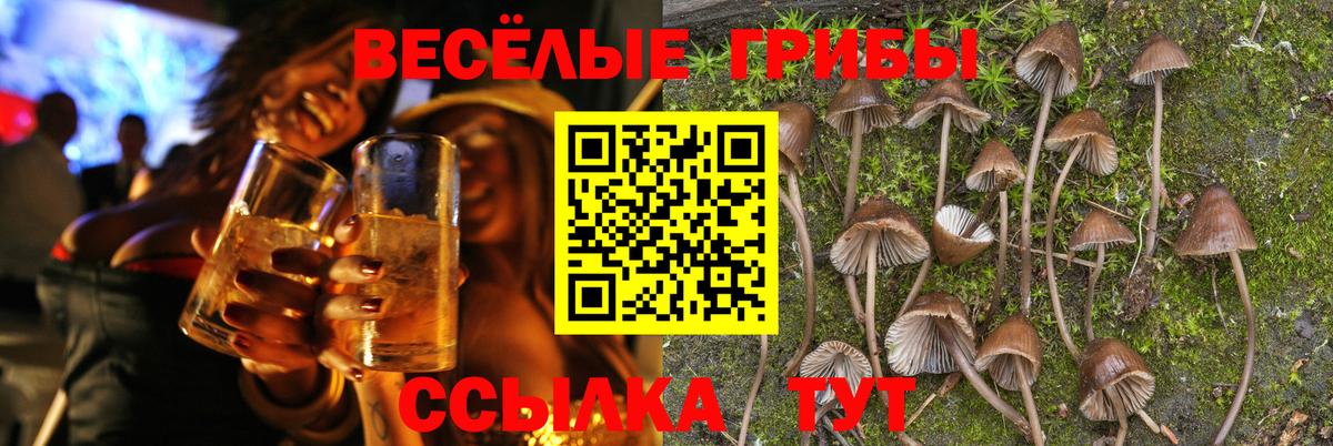 Псилоцибиновые грибы прущие грибы  Галлюциногенные грибы мицелий  Бугуруслан  Вход с VPN 